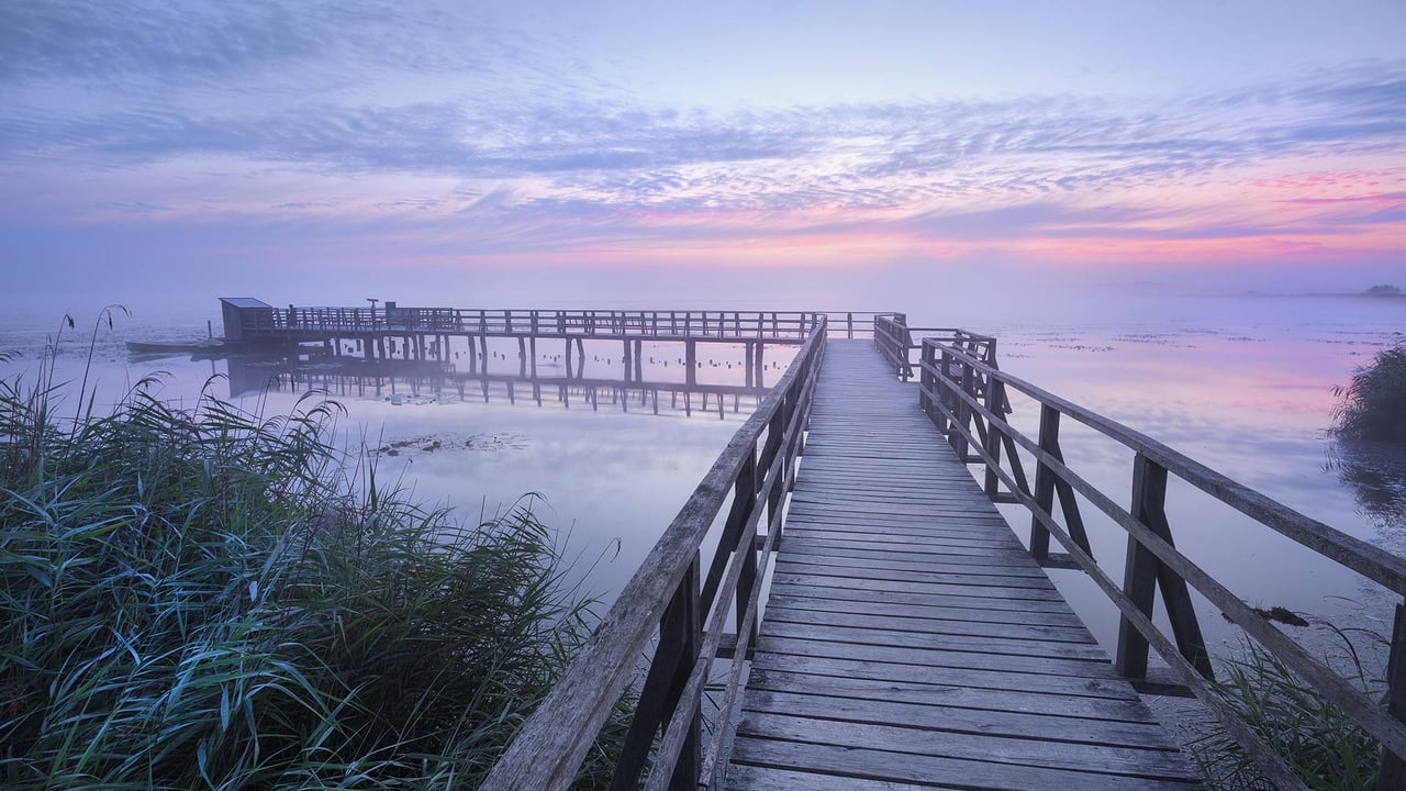 Der Federseesteg in der Morgendämmerung nahe Bad Buchau, Baden-Württemberg, Deutschland (© Reinhard Schmid/Huber/eStock Photo) desktop wallpaper