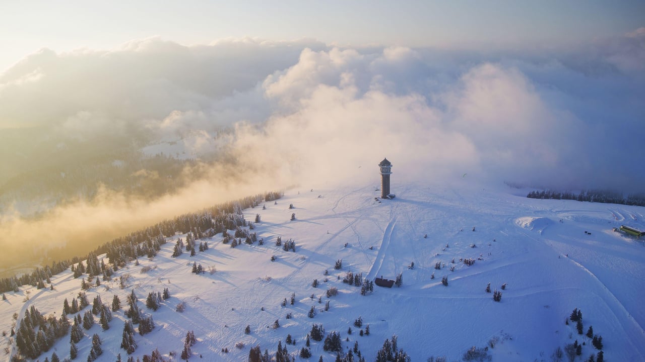 Torre Feldberg na Floresta Negra, Baden-Württemberg, na Alemanha (© Hemis/Alamy) desktop wallpaper
