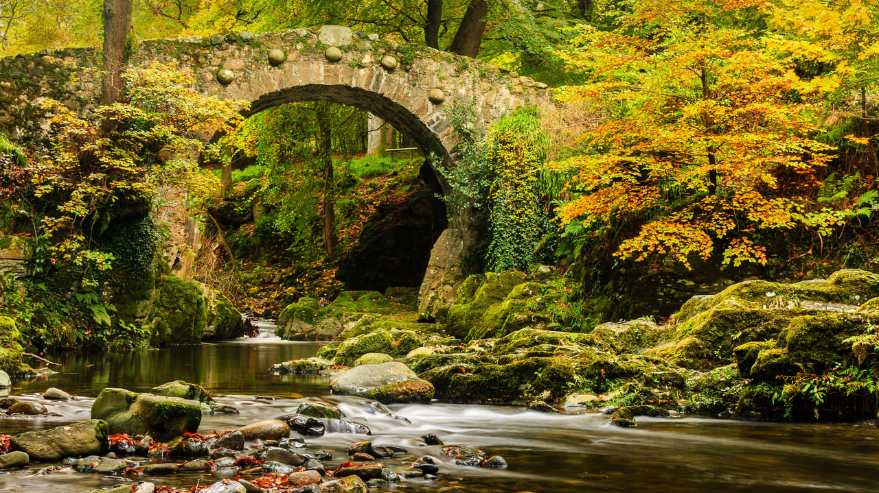 托利莫尔森林公园的弗利桥,英国北爱尔兰 (© Adrian McGlynn/Alamy) desktop wallpaper