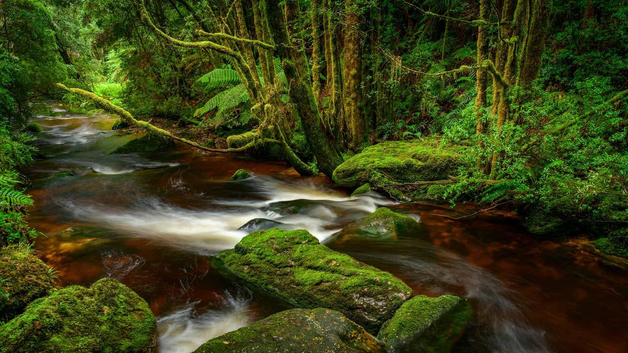 Franklin-Gordon Wild Rivers National Park, Tasmania (© Heeb Photos/eStock Photo) desktop wallpaper