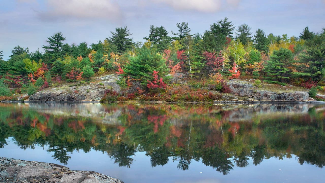 French River, Ontario, Canada (© Tim Fitzharris/Minden) desktop wallpaper