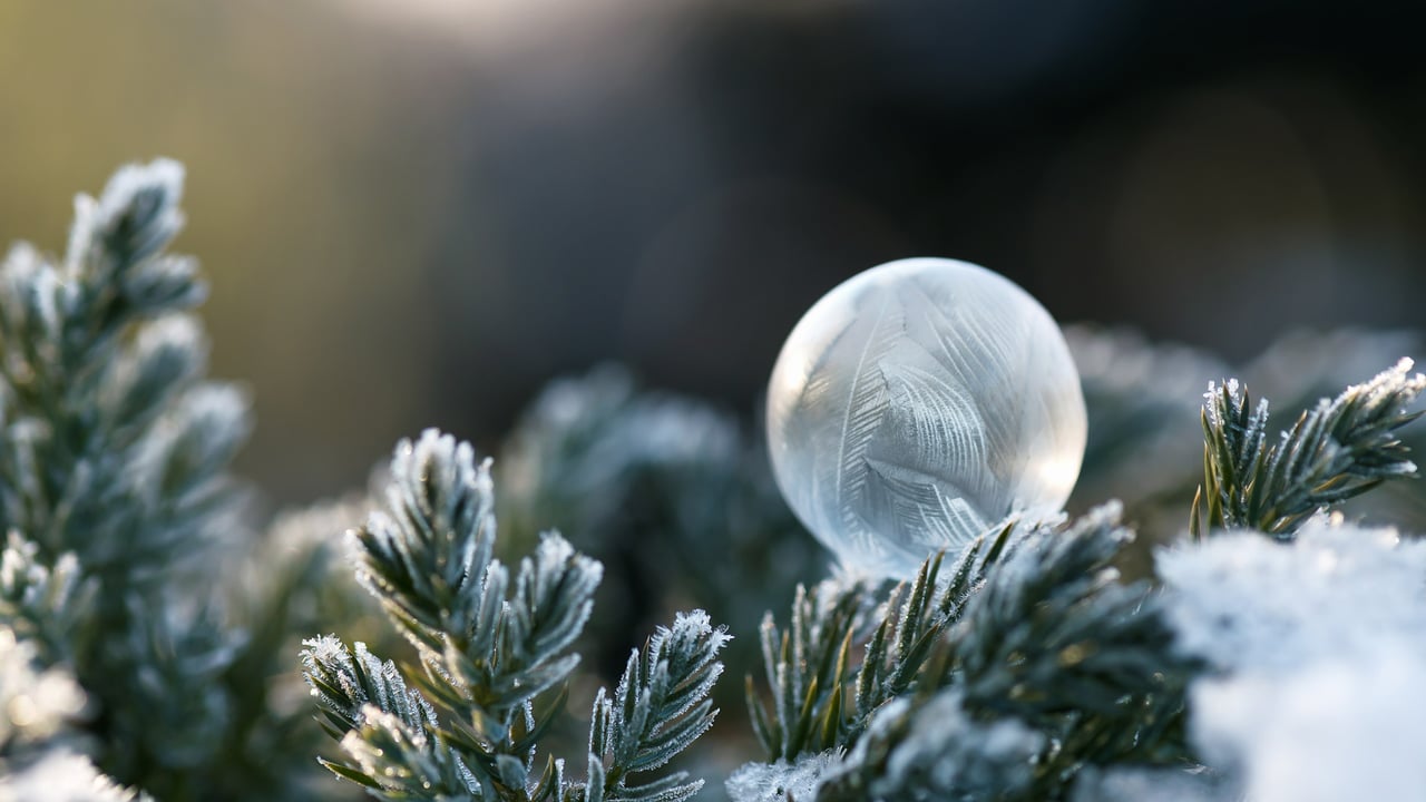 Wundervoll gefrorene Seifenblase (© Oksana Schmidt/Getty Images) desktop wallpaper