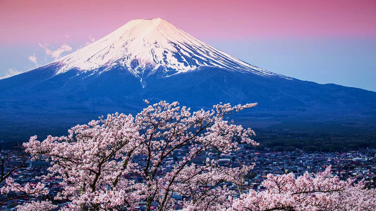 富士山と桜, 山梨 富士河口湖町 (© Sanchai Loongroong/Moment/Getty Images) desktop wallpaper