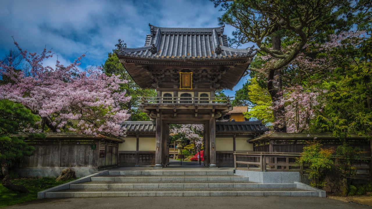 Cherry blossoms at the Japanese Tea Garden in Golden Gate Park, San Francisco, California (© luisascanio/iStock/Getty Images) desktop wallpaper