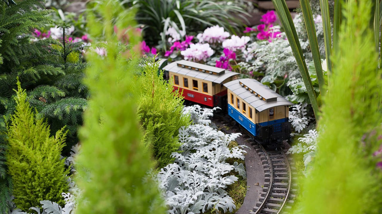 Train surrounded by Christmas flowers at Allan Gardens Conservatory, Toronto (© bruno135_406/Adobe Stock) desktop wallpaper