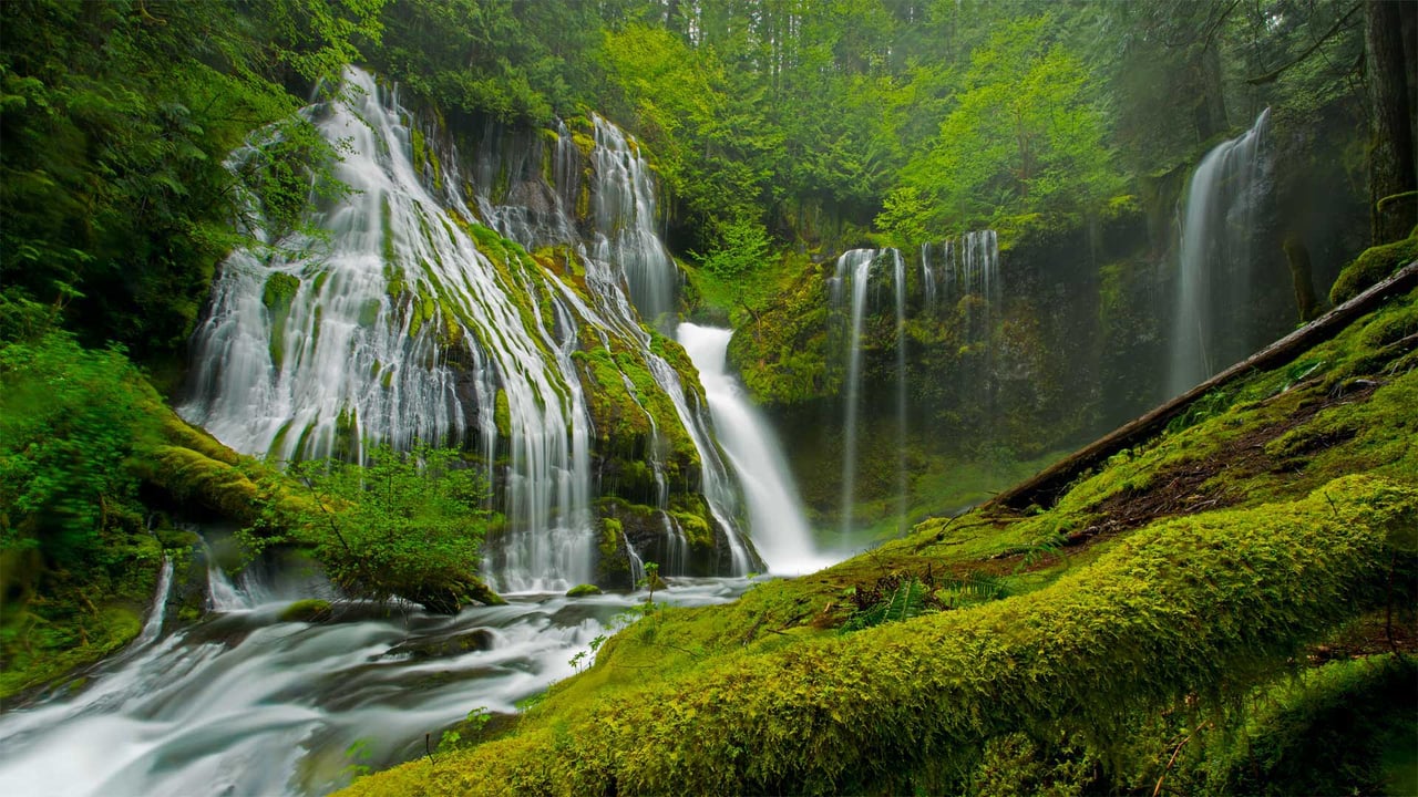 Panther Creek Falls in spring, Gifford Pinchot National Forest, Washington (© Stephen Matera/Tandem Stills + Motion) desktop wallpaper
