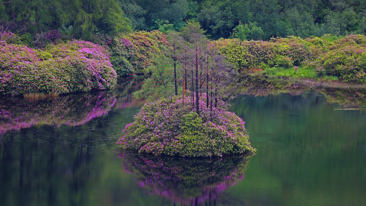 Small loch in Glen Etive, Scotland (© Oliver Hellowell/Minden Pictures) desktop wallpaper