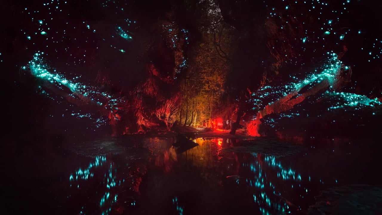 Glowworms in Blue Mountains National Park, Australia (© Leelakajonkij/Getty Images) desktop wallpaper