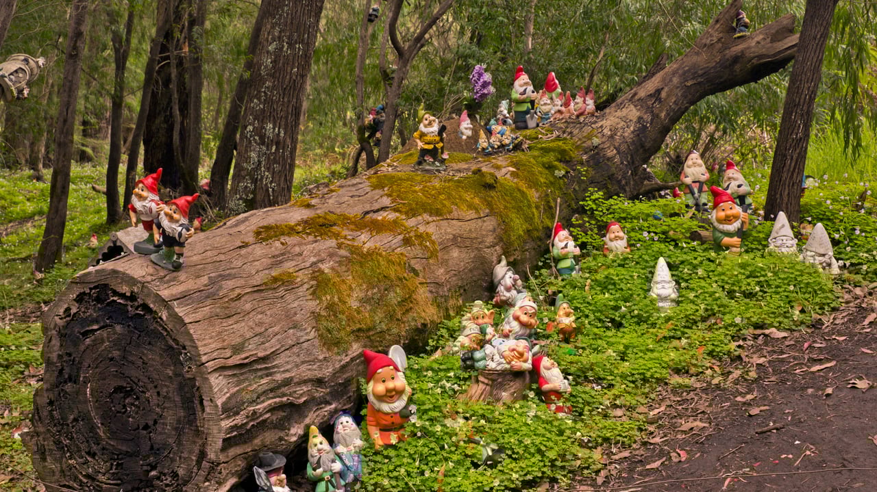 Gnomesville in the Shire of Dardanup, Australia (© Amanda Hughes/Alamy) desktop wallpaper