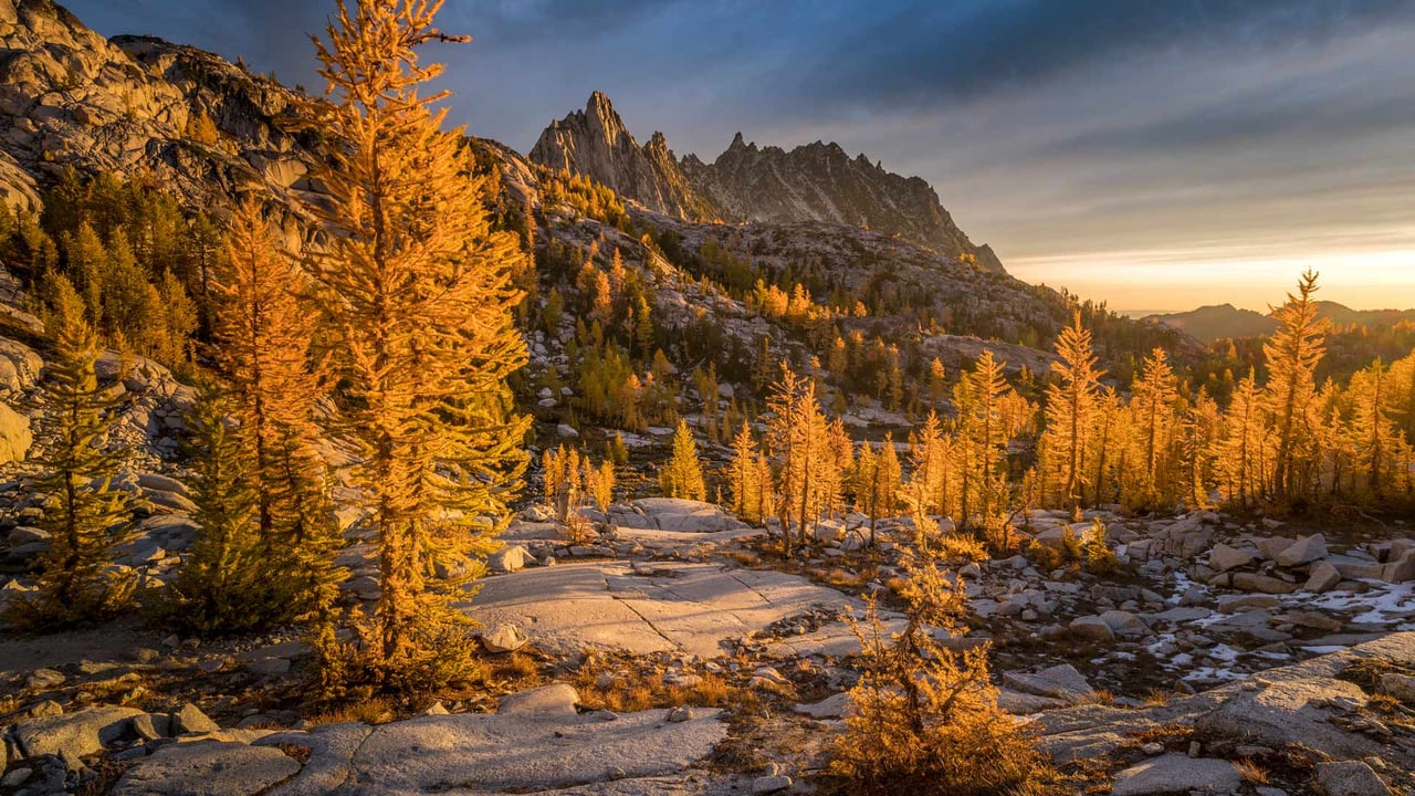 Golden larches and Prusik Peak, the Enchantments, Washington (© Jim Patterson/Tandem Stills + Motion) desktop wallpaper