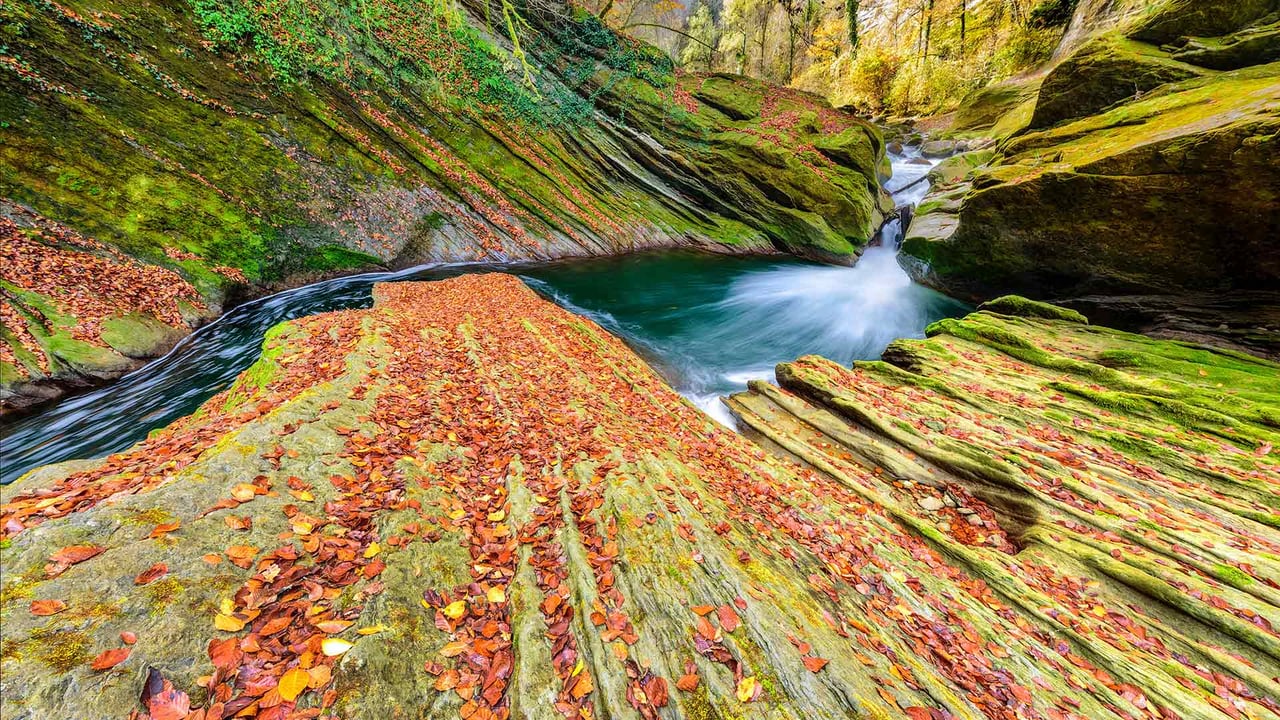 Chéran River running through a gorge, Savoie, France (© Jean-Philippe Delobelle/Minden) desktop wallpaper