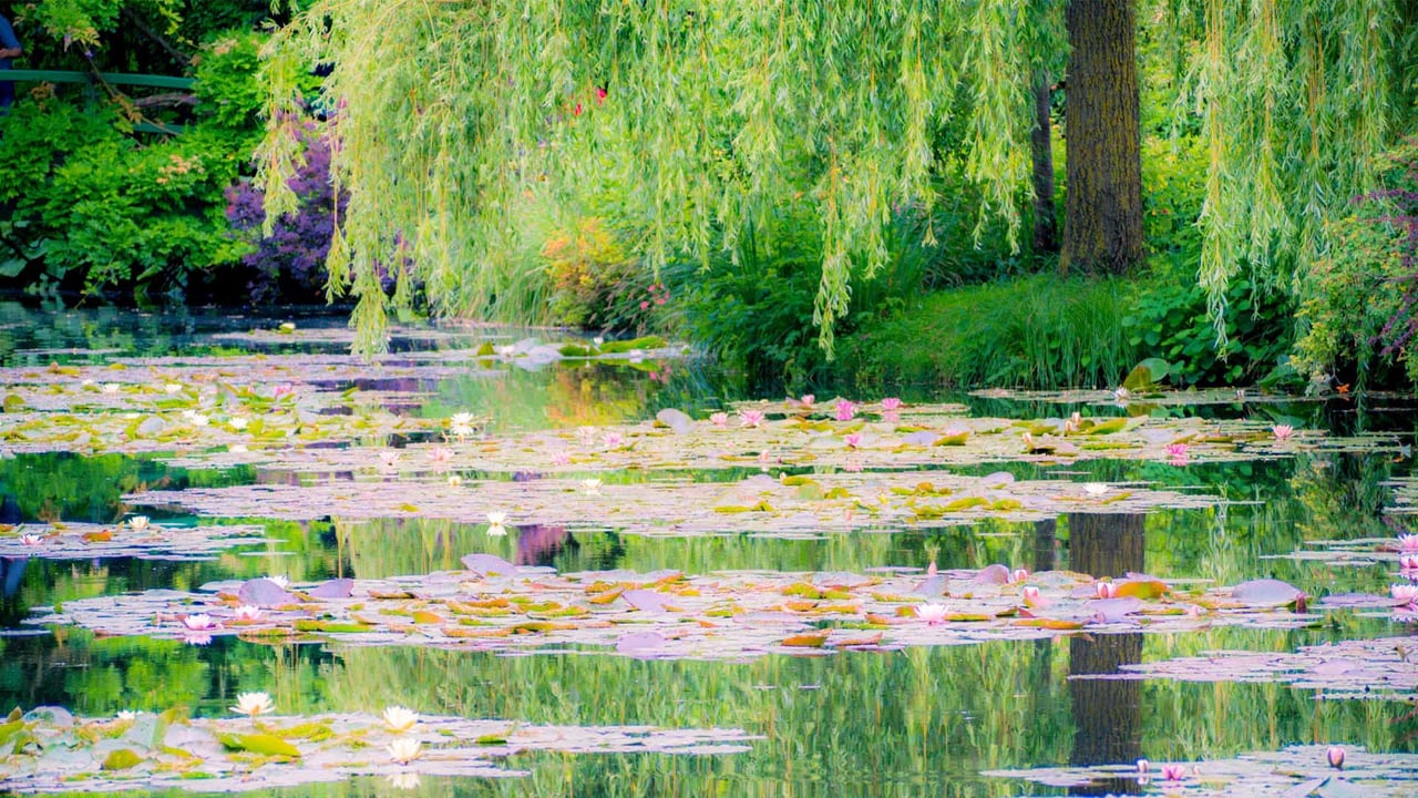 Le jardin de Monet à Giverny, France (© Simon Kirwan/Alamy Stock Photo) desktop wallpaper