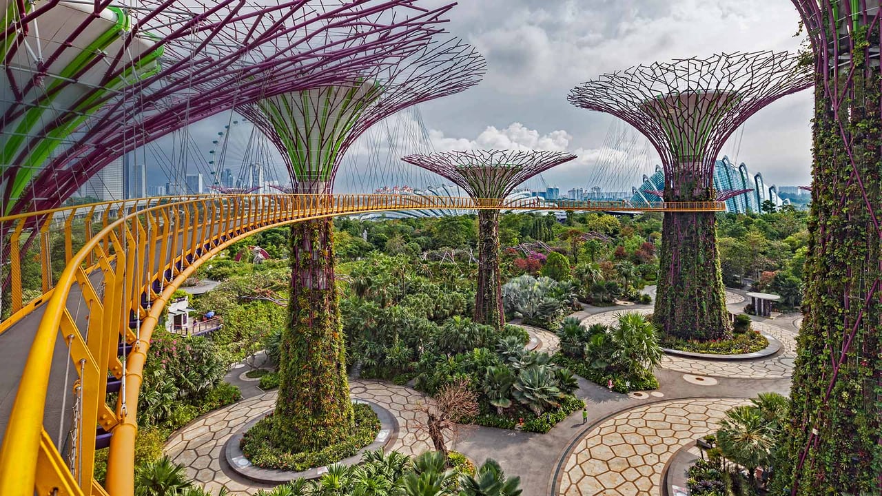 The Supertree Grove in Singapore's Gardens by the Bay (© John Warburton-Lee/Danita Delimont) desktop wallpaper