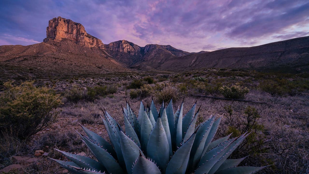 El Capitan at sunrise in Guadalupe Mountains National Park, Texas (© Adam Mowery/Tandem Stills + Motion) desktop wallpaper