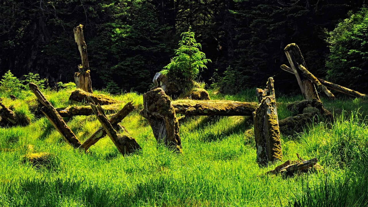 Gwaii Haanas National Park Reserve and Haida Heritage Site, British Columbia, Canada (© Don Johnston_WC/Alamy Stock Photo) desktop wallpaper