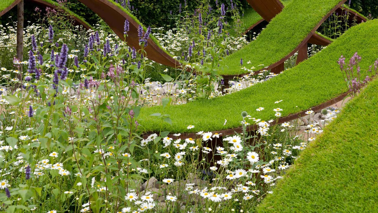 The World Vision Garden at The Hampton Court Palace Flower Show 2016 (© Ellen Rooney/Alamy Stock Photo) desktop wallpaper