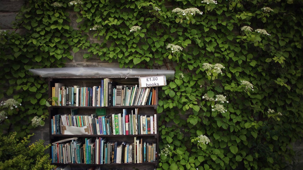 Second-hand books at the Hay Festival, Hay-on-Wye, Wales (© Christopher Furlong/Staff/Getty Images News) desktop wallpaper