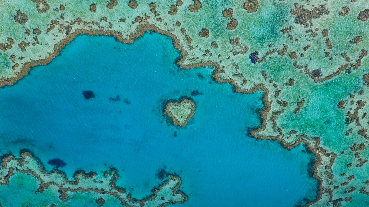 Heart Reef, part of the Great Barrier Reef off Queensland, Australia (© Peter Adams/Offset by Shutterstock) desktop wallpaper