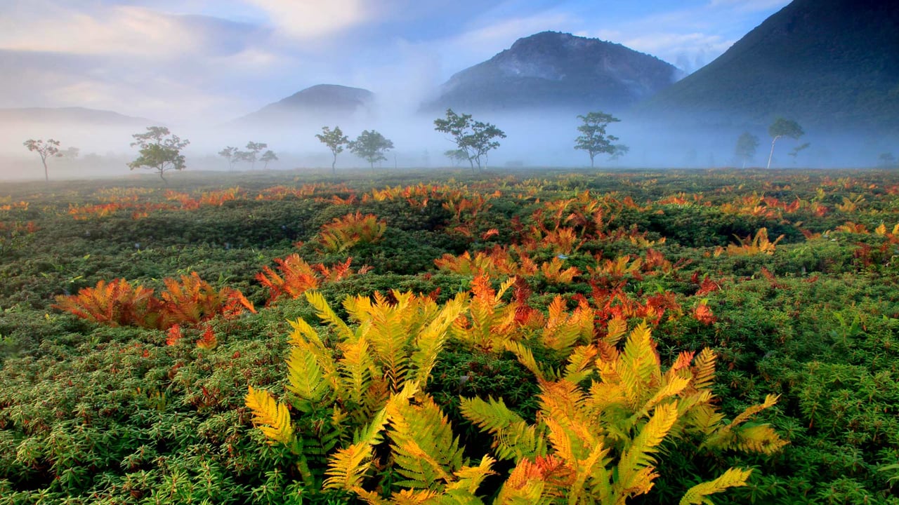 Hokkaido, Japan (© Hiroshi Yokoyama/eStock Photo) desktop wallpaper