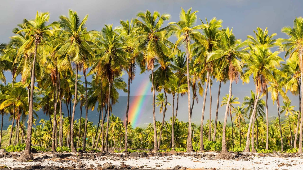 Pu'uhonua o Hōnaunau National Historical Park, Big Island, Hawaii (© Westend61/Getty Images) desktop wallpaper