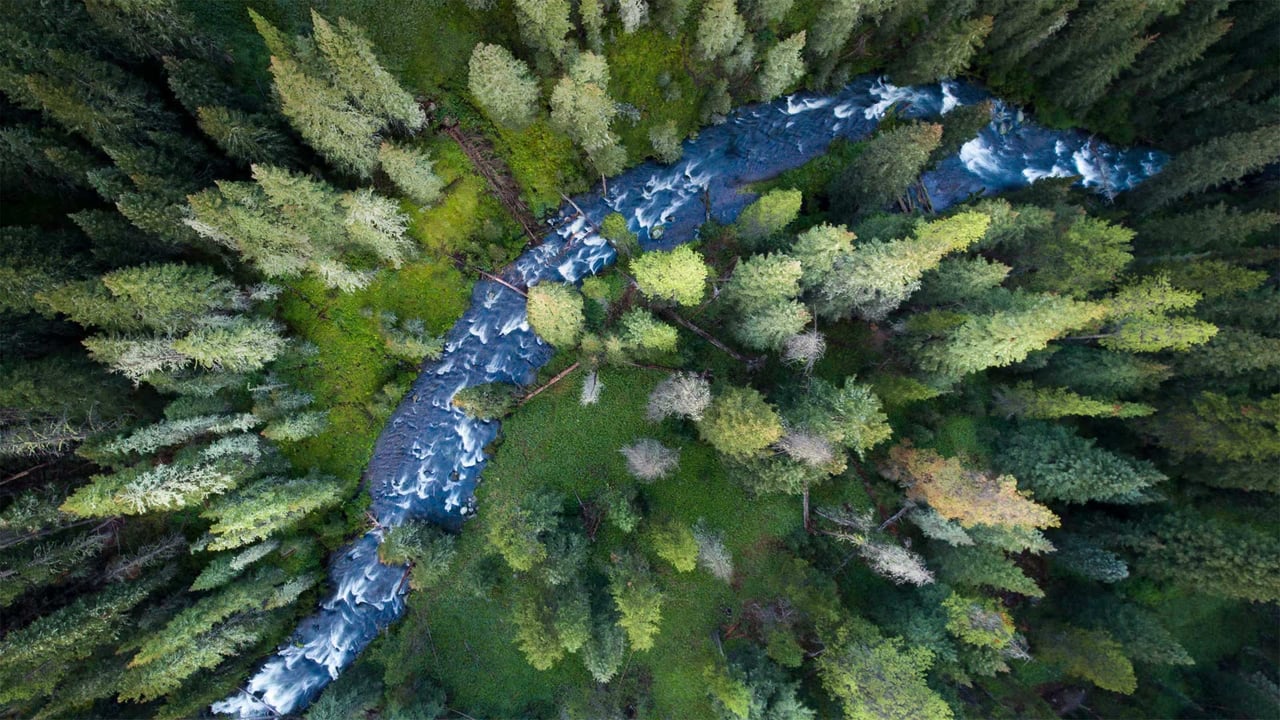 Hyalite Creek in the Custer Gallatin National Forest, Montana, USA (© Jared Lloyd/Getty Images) desktop wallpaper