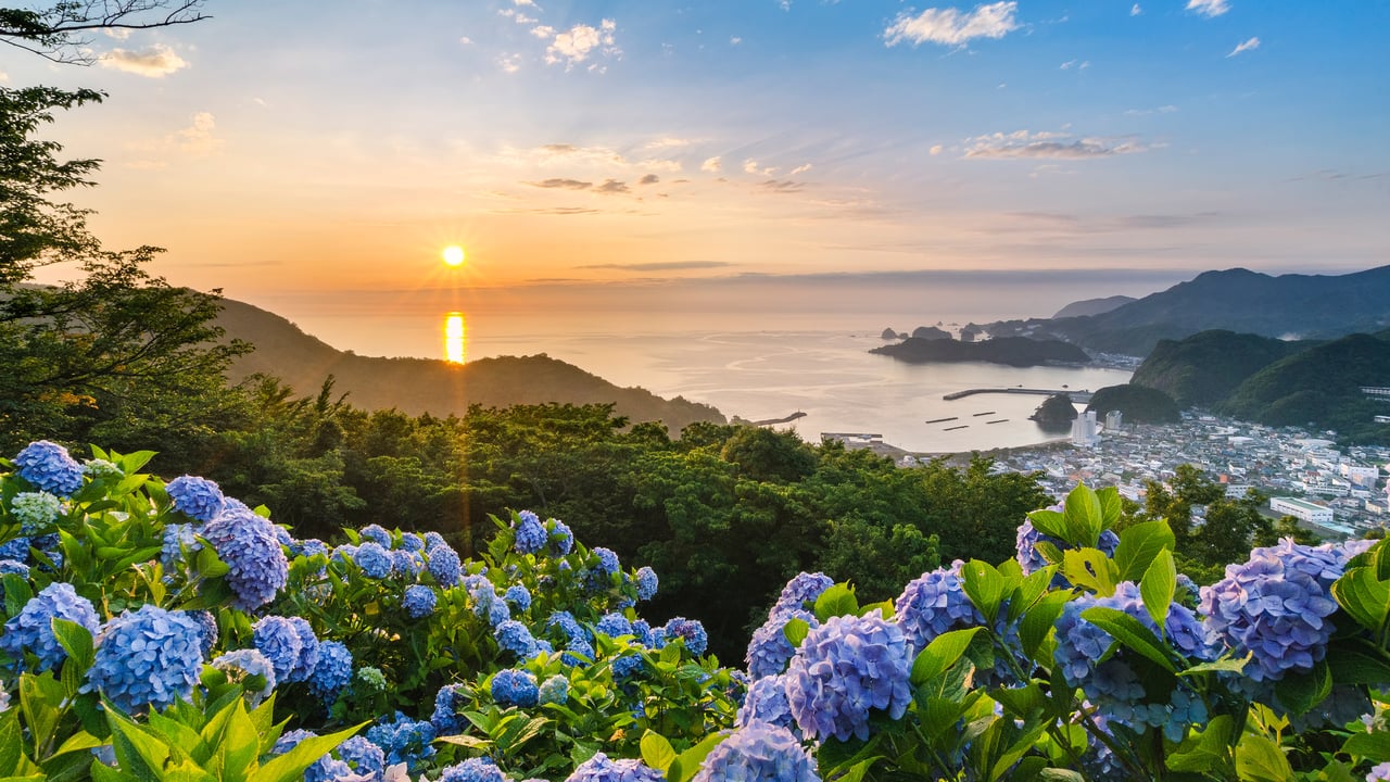 あじさいの丘, 静岡県 賀茂郡 (© Tommy Tsutsui/Getty Images) desktop wallpaper