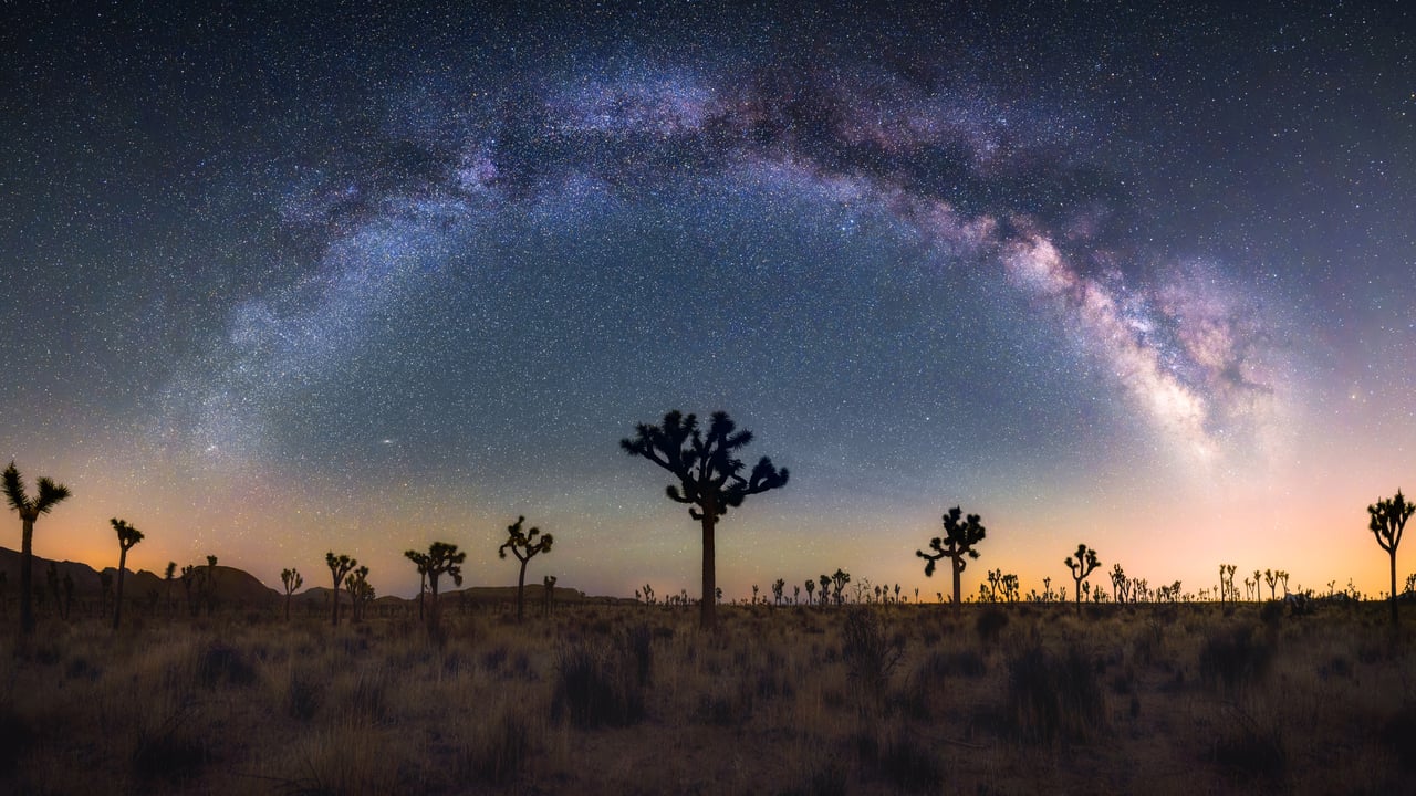 Joshua trees under the Milky Way, California (© Chao Zhang/Getty Images) desktop wallpaper