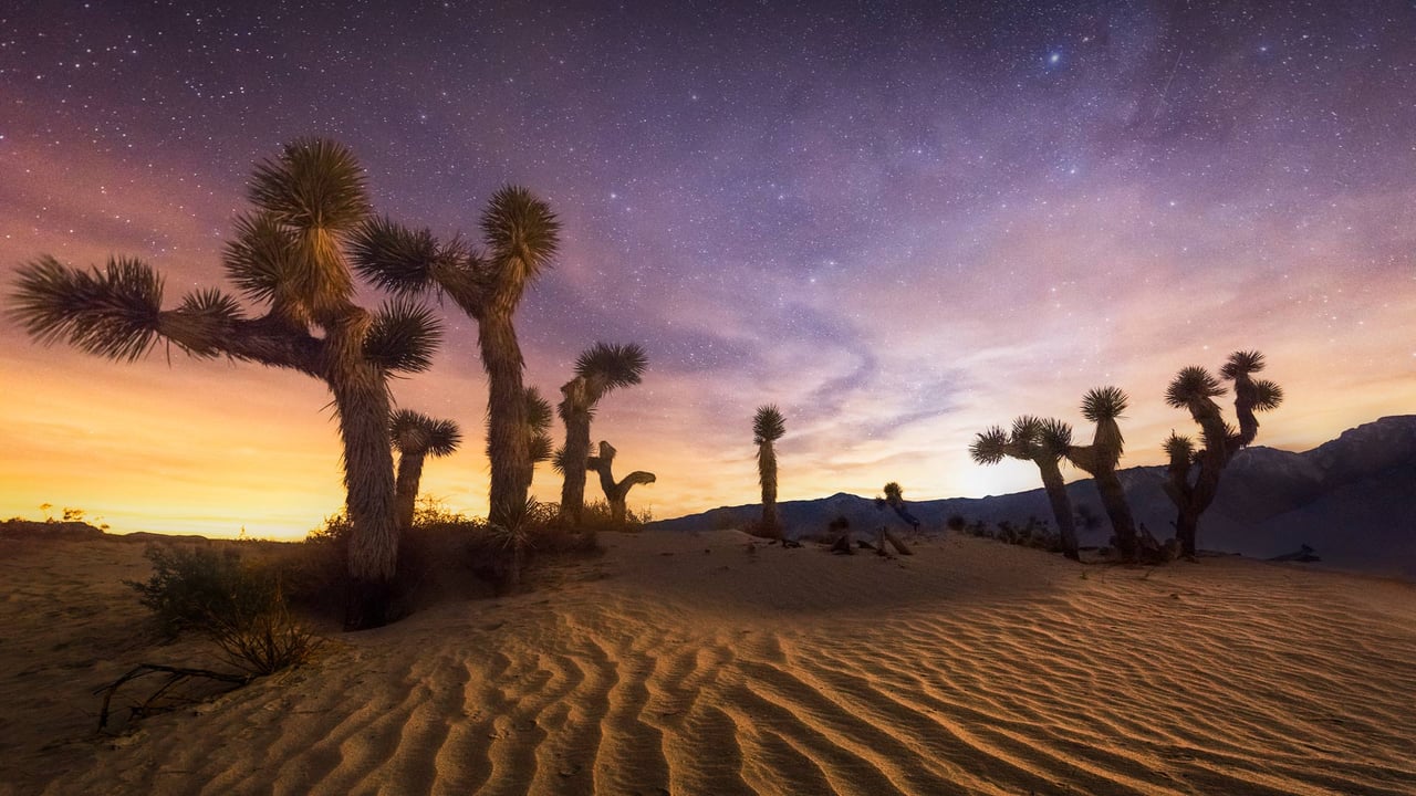 Joshua Tree National Park, California (© Chris Moore - Exploring Light Photography/Tandem Stills + Motion) desktop wallpaper