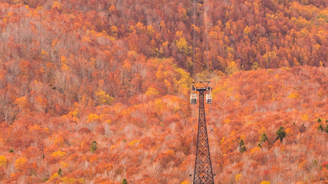 秋の八甲田ロープウェイ, 青森県 青森市 (© Torsakarin/Getty Images) desktop wallpaper