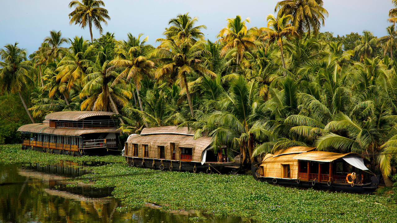Houseboats on Vembanad lake, Kerala (© artherng/Getty Images) desktop wallpaper