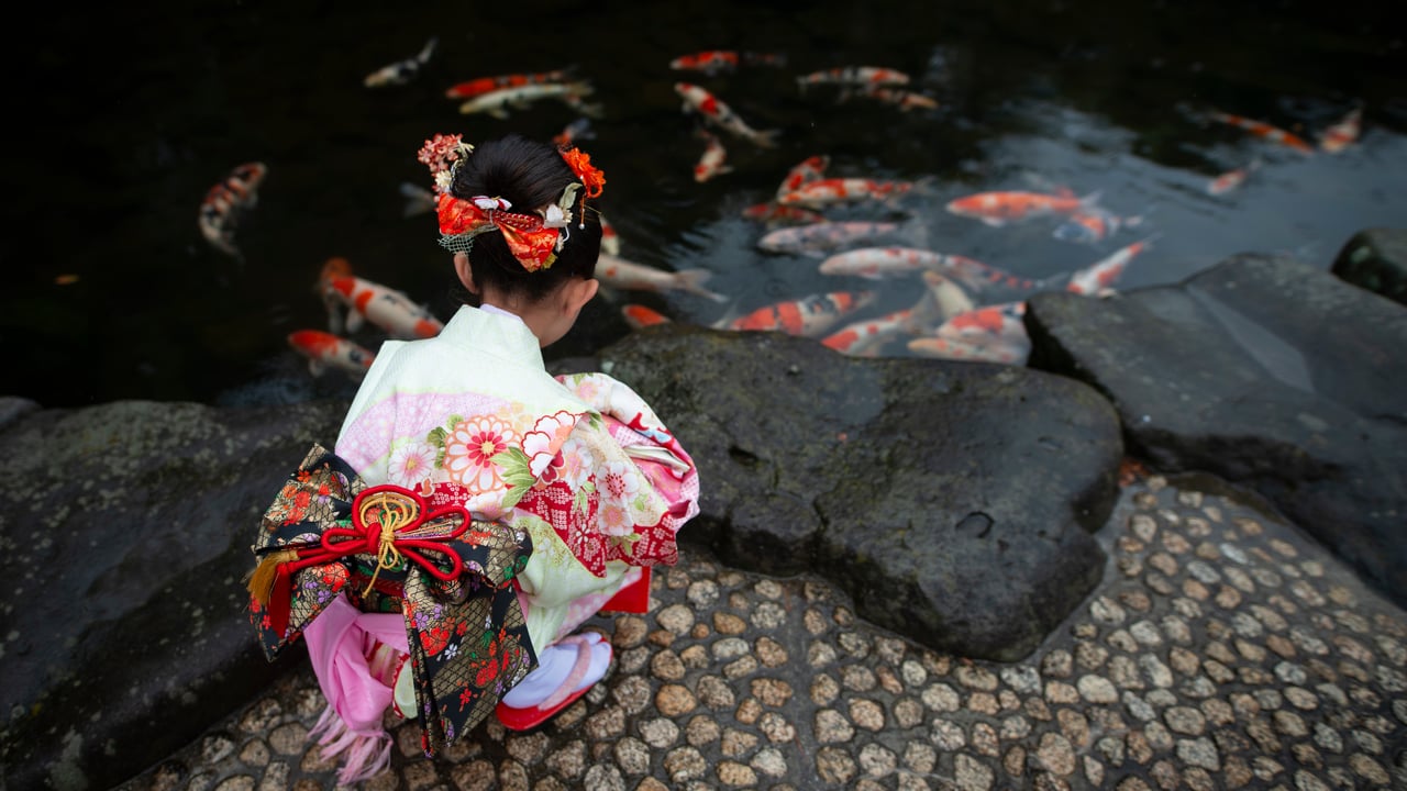 着物姿の女の子, 日本 (© Hakase_/Getty Images) desktop wallpaper