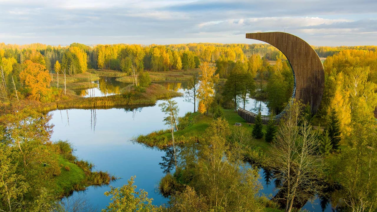 Kirkilai lakes and lookout tower, Biržai Regional Park, Lithuania (© MNStudio/Shutterstock) desktop wallpaper