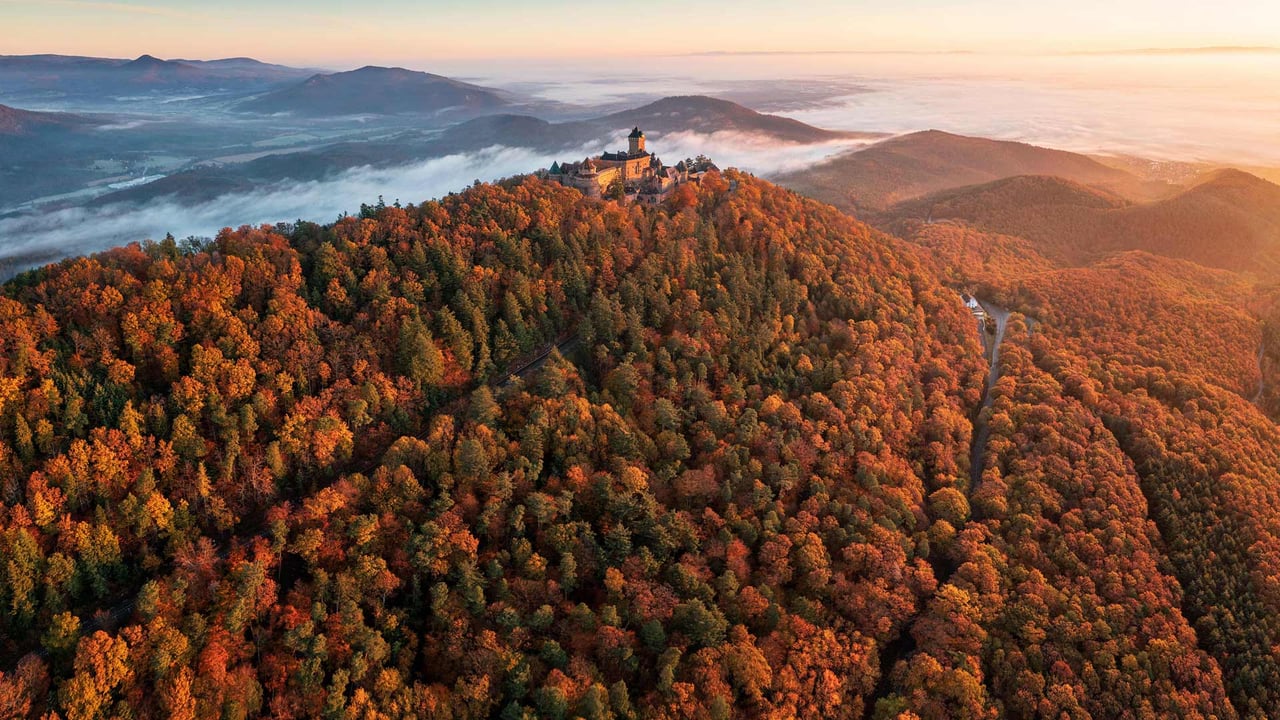 Château du Haut-Koenigsbourg au lever du soleil, à Orschwiller, Alsace, Grand Est (© PATRICK HERTZOG/AFP via Getty Images) desktop wallpaper