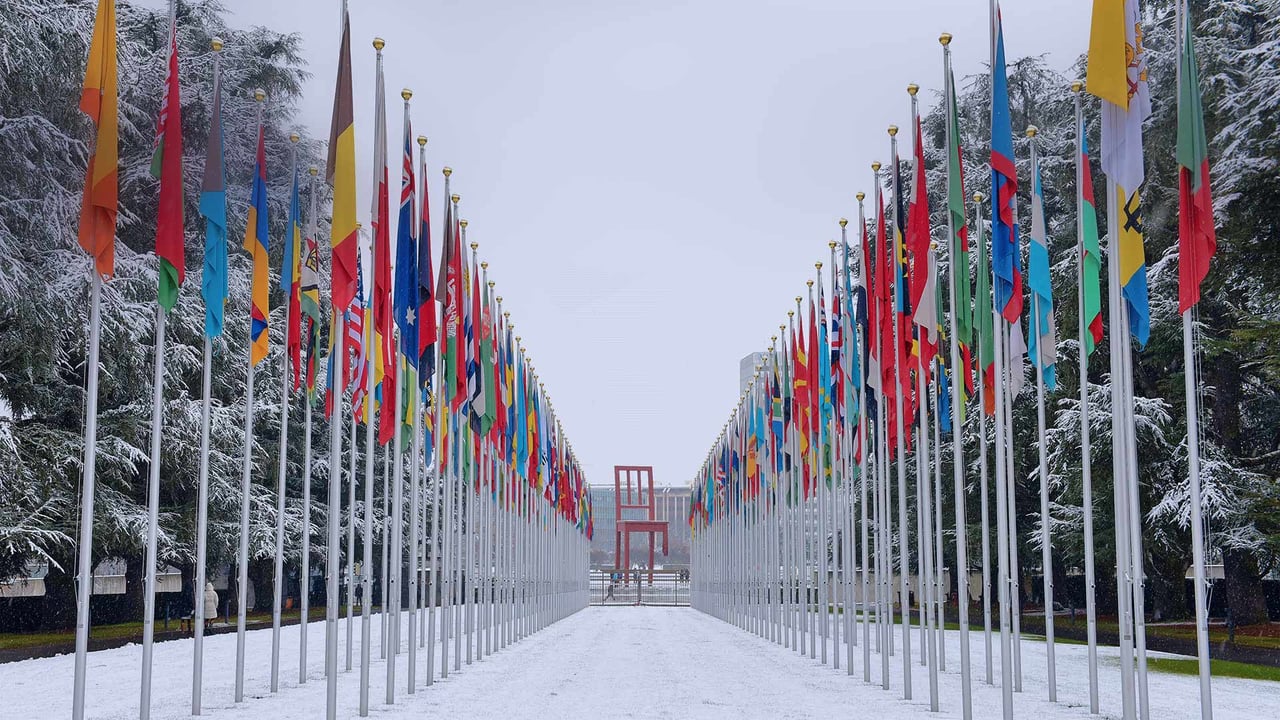 Flags outside the UN's Palace of Nations in Geneva, Switzerland (© Mustafa Yalcin/Anadolu Agency/Getty Images) desktop wallpaper