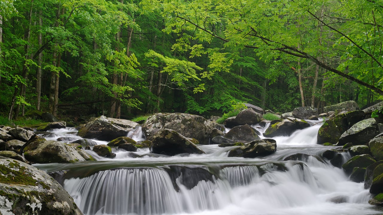 Little Pigeon River, Great Smoky Mountains National Park, Tennessee (© GreenStock/Getty Images) desktop wallpaper