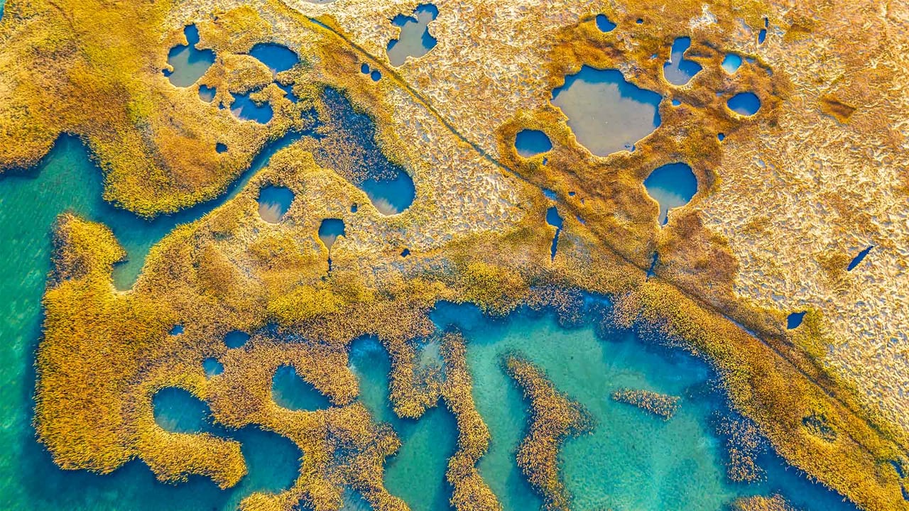 Marshland, Gloucester, Massachusetts (© Thomas H. Mitchell/Getty Images) desktop wallpaper