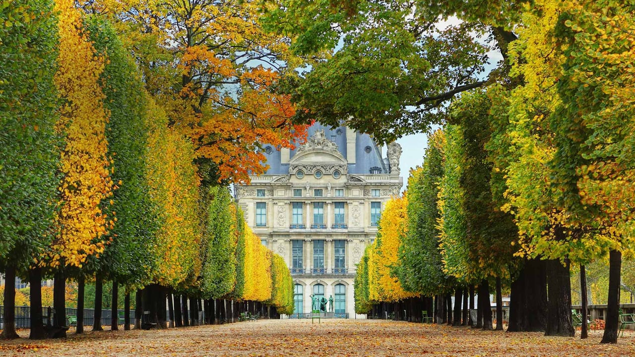 Jardin des Tuileries in autumn, leading to the Louvre Museum in Paris, France (© Brian A. Jackson/Getty Images Plus) desktop wallpaper