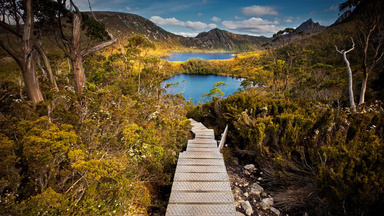 Cradle Mountain-Lake St. Clair National Park, Tasmania, Australia (© Paparwin Tanupatarachai/Getty Images) desktop wallpaper