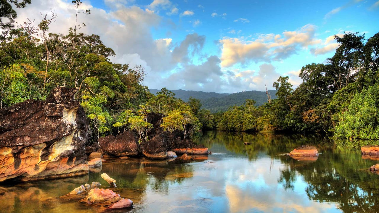 Masoala National Park in Madagascar (© Dennis van de Water/Shutterstock) desktop wallpaper