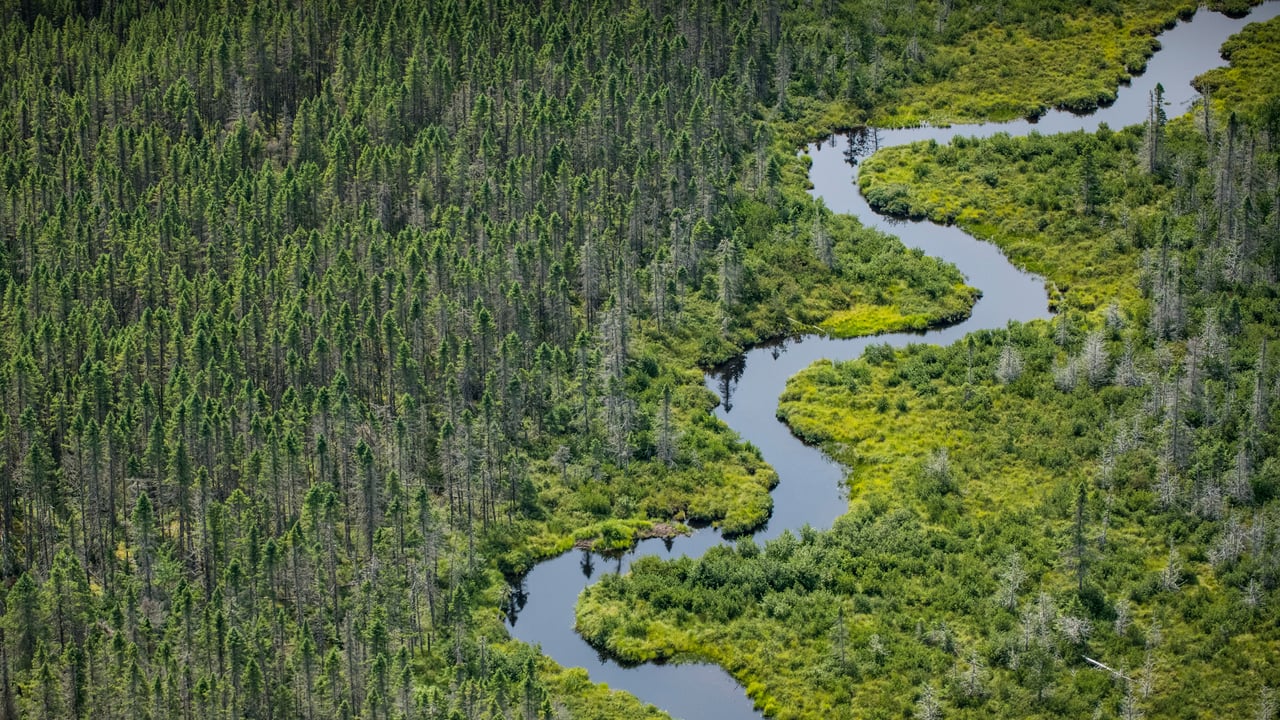 Norcross Brook and wetlands near Moosehead Lake in Piscataquis County, Maine (© Aaron Black-Schmidt/Tandem Stills + Motion) desktop wallpaper