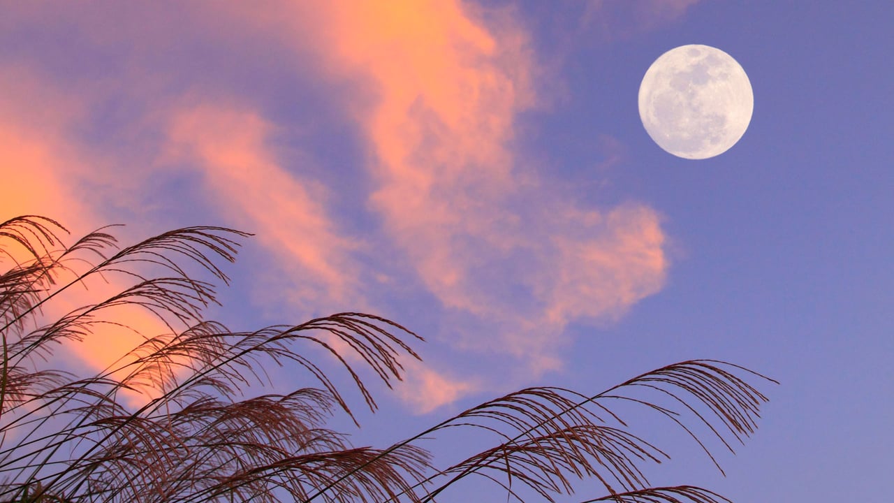 「満月」 (© Aflo Co., Ltd/Alamy Stock Photo) desktop wallpaper