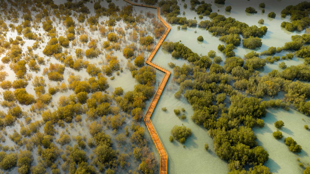 Jubail Mangrove Park in Abu Dhabi, United Arab Emirates (© Amazing Aerial Premium/Shutterstock) desktop wallpaper