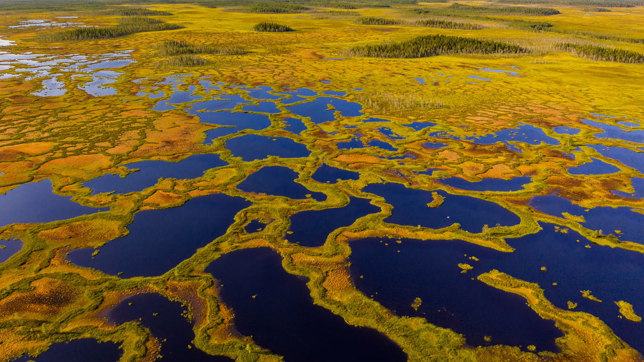 Aerial view of peatland in Martimoaapa Mire Reserve, Finland (© romikatarina/Shutterstock) desktop wallpaper