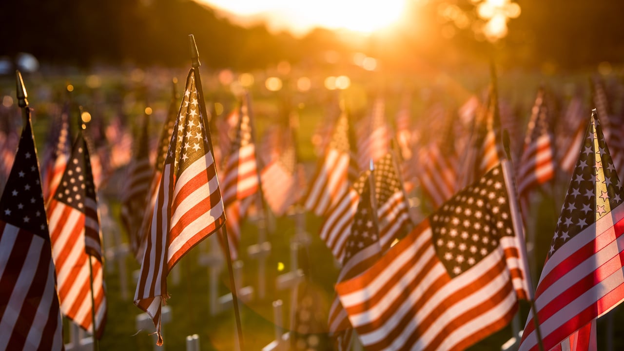 Field of flags set up for Memorial Day (© Andrew Seegmiller/Getty Images) desktop wallpaper