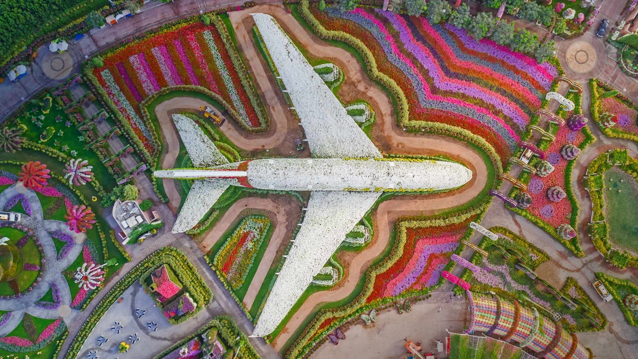 Dubai Miracle Garden, United Arab Emirates (© Amazing Aerial/Offset) desktop wallpaper