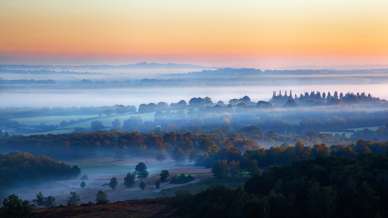 Sonnenaufgang bei Nebel im Ashdown Forest, East Sussex, England, Großbritannien (© Tim Stocker Photography/Getty Images) desktop wallpaper