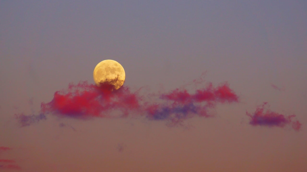 「夕焼けに映える月」 (© kanzilyou/iStock/Getty Images Plus) desktop wallpaper