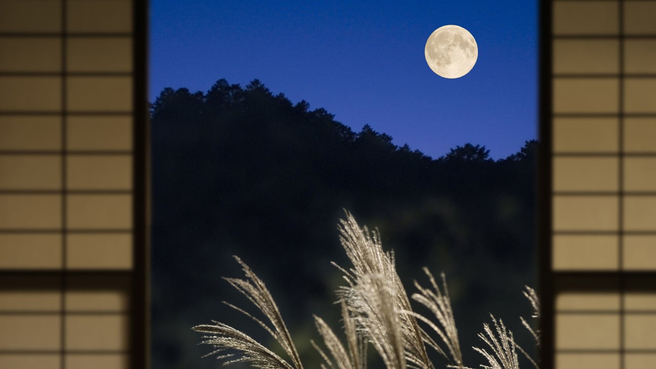 ｢月｣京都府 (© Aflo/Aflo Co., Ltd./Alamy Stock Photo) desktop wallpaper