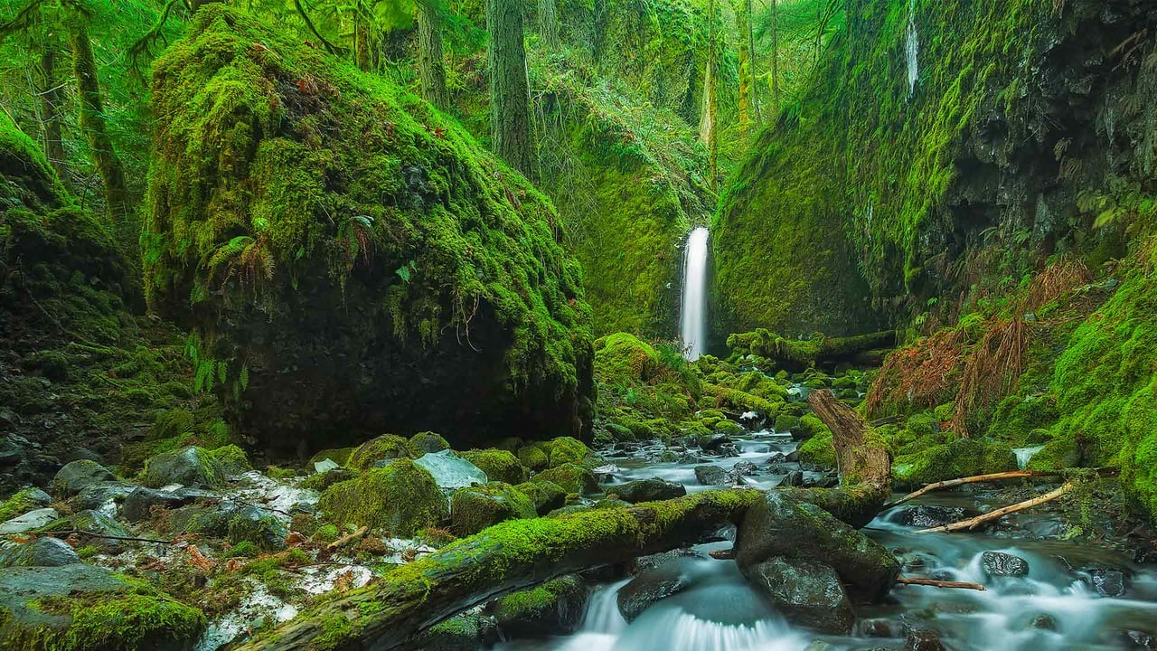 Mossy Grotto Falls, Columbia River Gorge, Oregon (© Chase Dekker Wild-Life Images/Getty Images) desktop wallpaper
