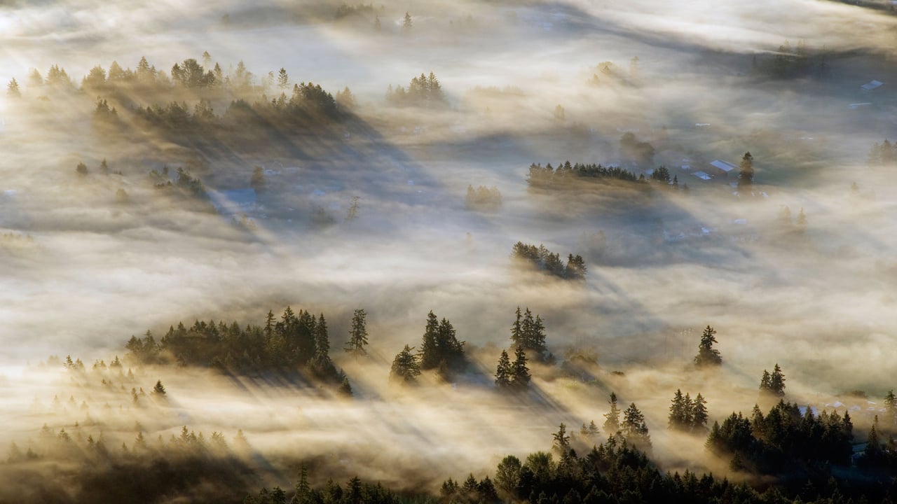 考伊琴山谷的薄雾,温哥华岛,加拿大不列颠哥伦比亚省 (© Kevin Oke/Alamy) desktop wallpaper